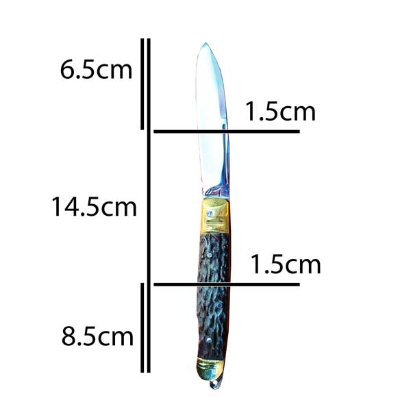 چاقو دسته استخوان SK127 - Image 2